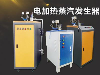 电加热蒸汽发生器7