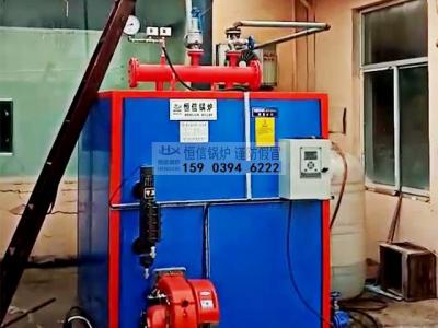 恒信锅炉FTSG燃油气管式蒸汽发生器调试正常运行中